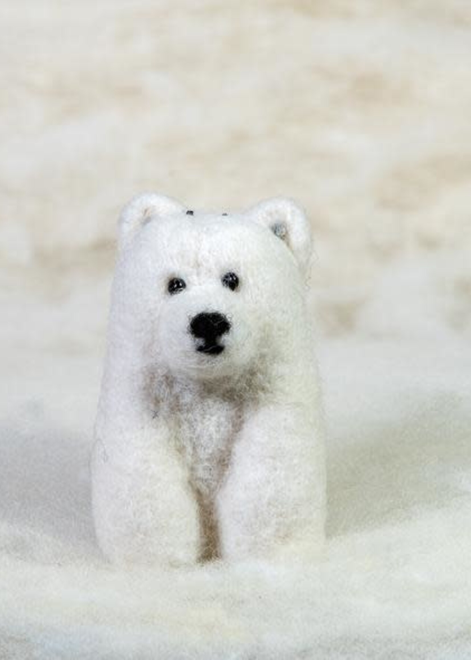 Spectacled Bear Conservation Spectacled Bear Polar Bear