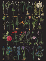 Annie Sloan Decoupage Paper - Formal Garden