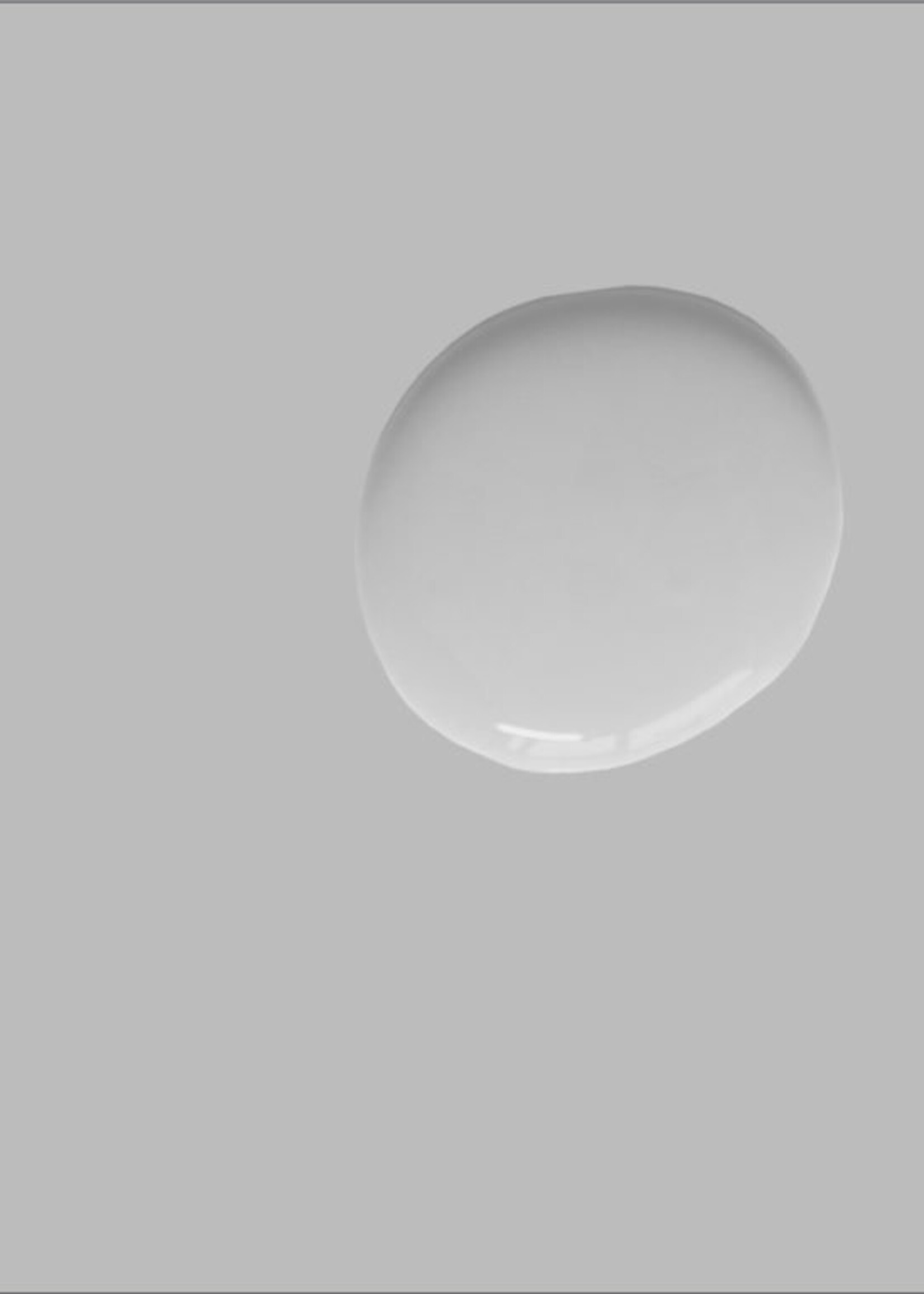 Annie Sloan Chicago Grey 750Ml Satin Paint by Annie Sloan