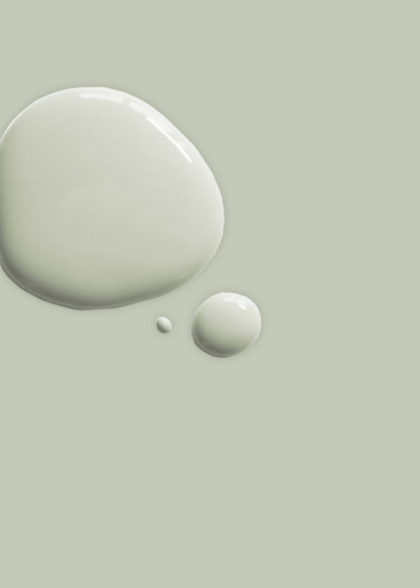 Annie Sloan Cotswold Green 750Ml Satin Paint by Annie Sloan