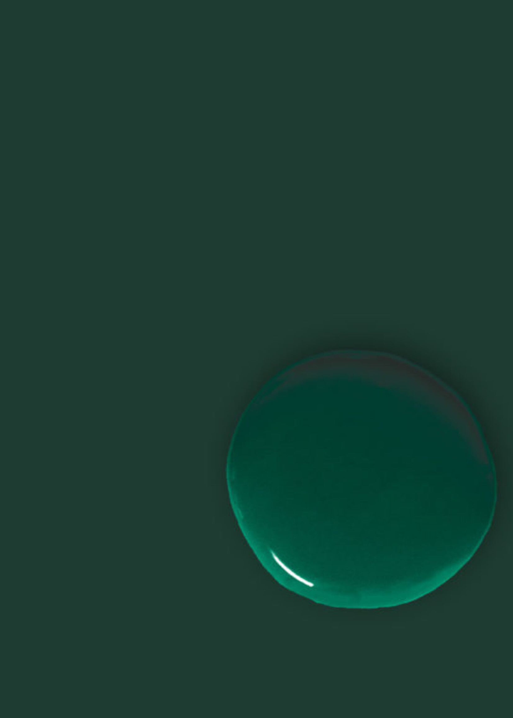 Annie Sloan Knightsbridge Green 750Ml Satin Paint by Annie Sloan