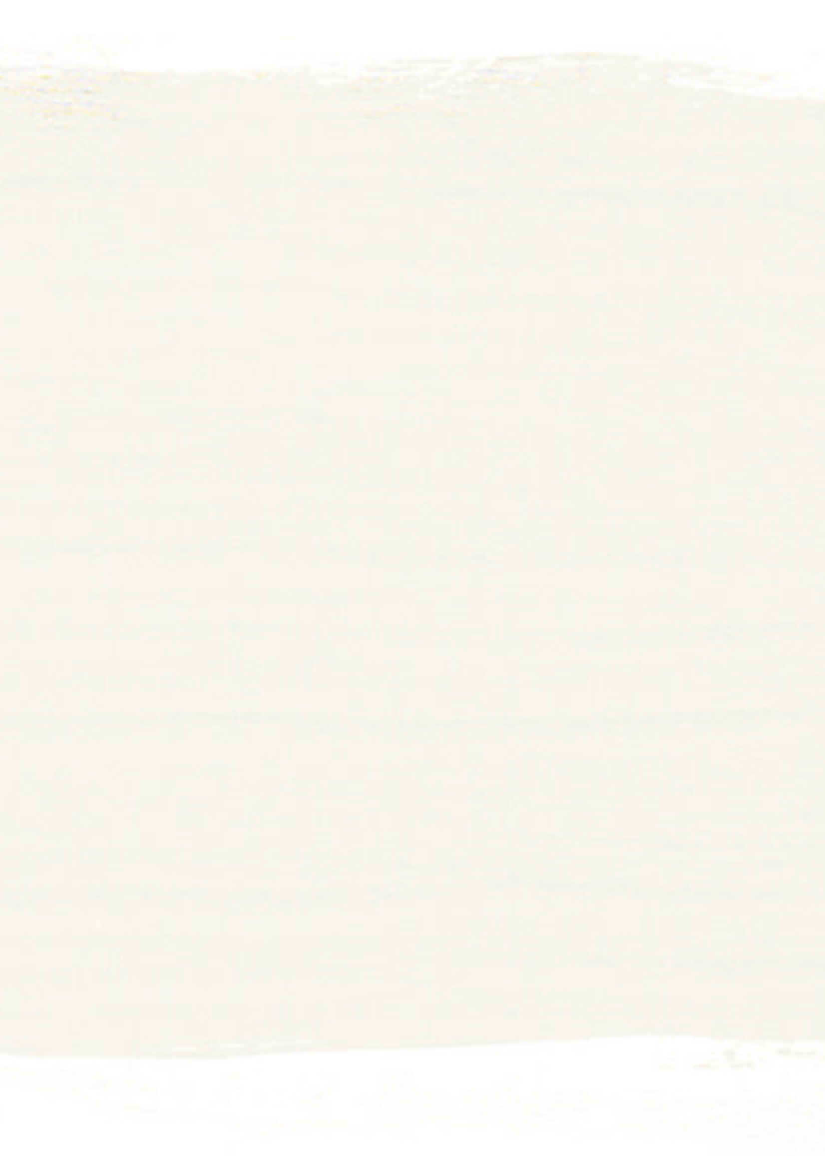 Annie Sloan Pure White 120ml Chalk Paint® by Annie Sloan