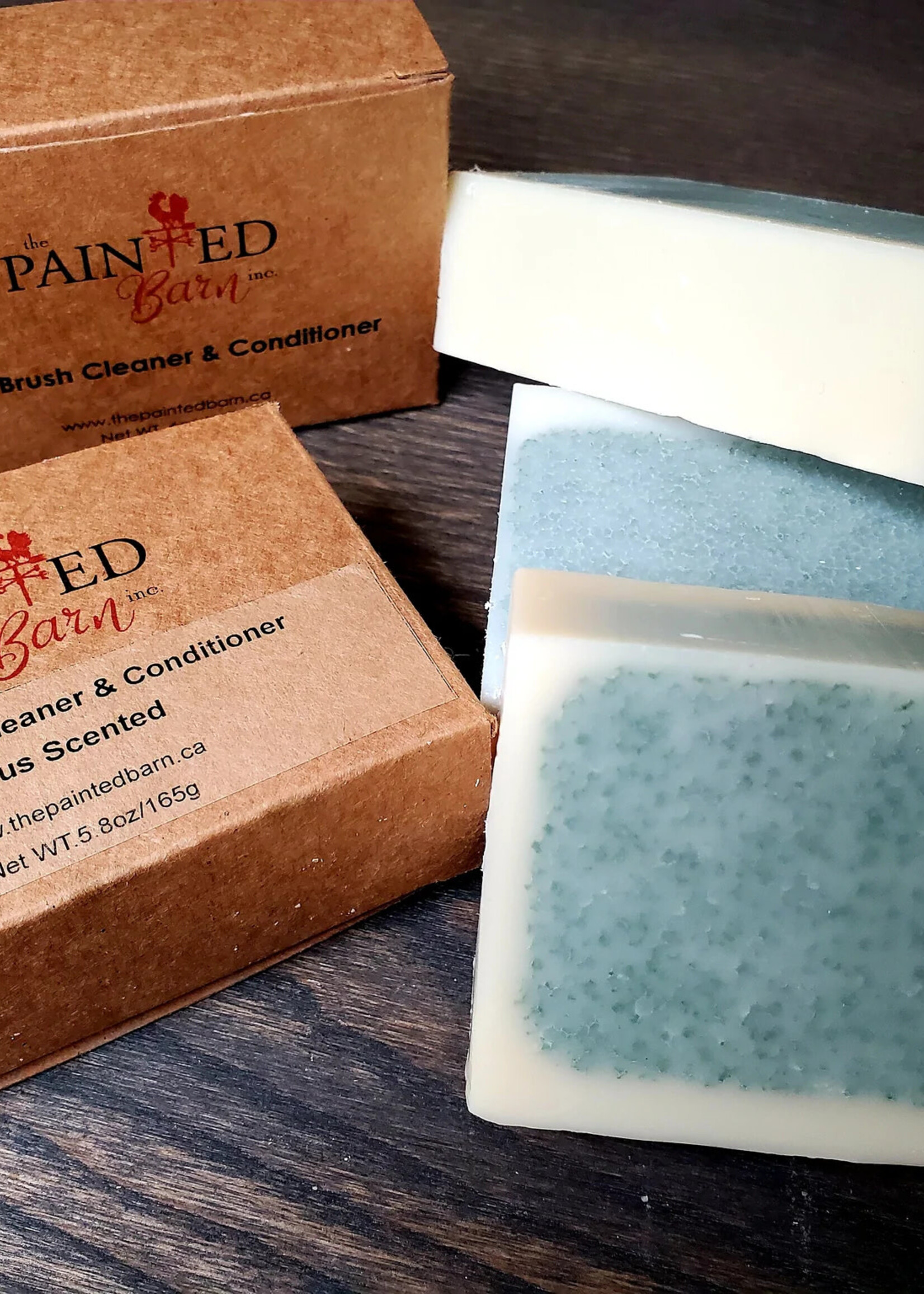 Brush Cleaner Soap