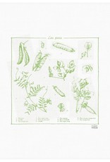 Petits Mots Petits Mots Cotton Flour Sack Tea Towel, Peas