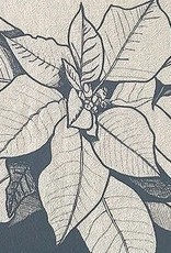 Poinsettia Cotton Graphic Tea Towel