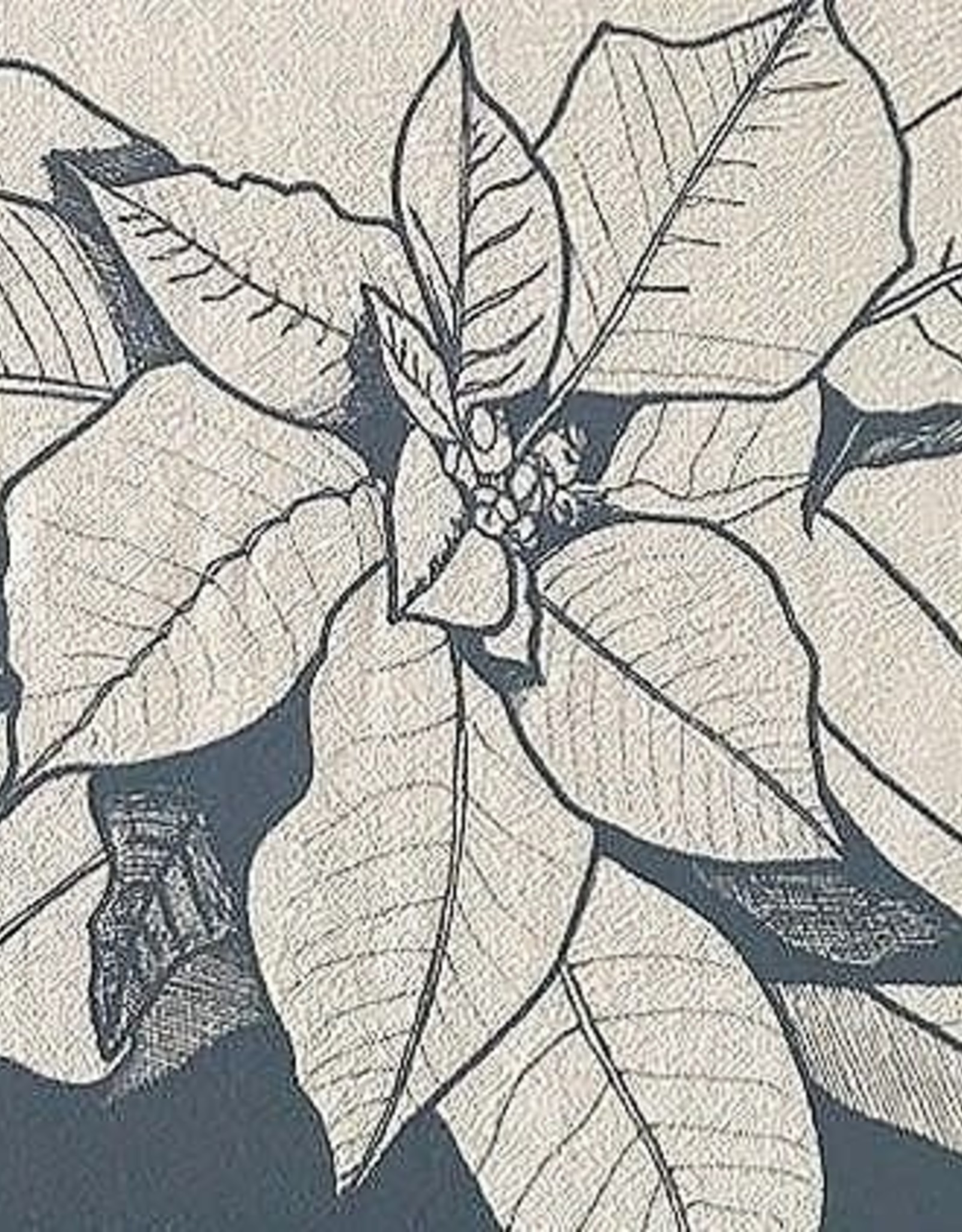 Louisa Elkin Poinsettia Cotton Graphic Tea Towel