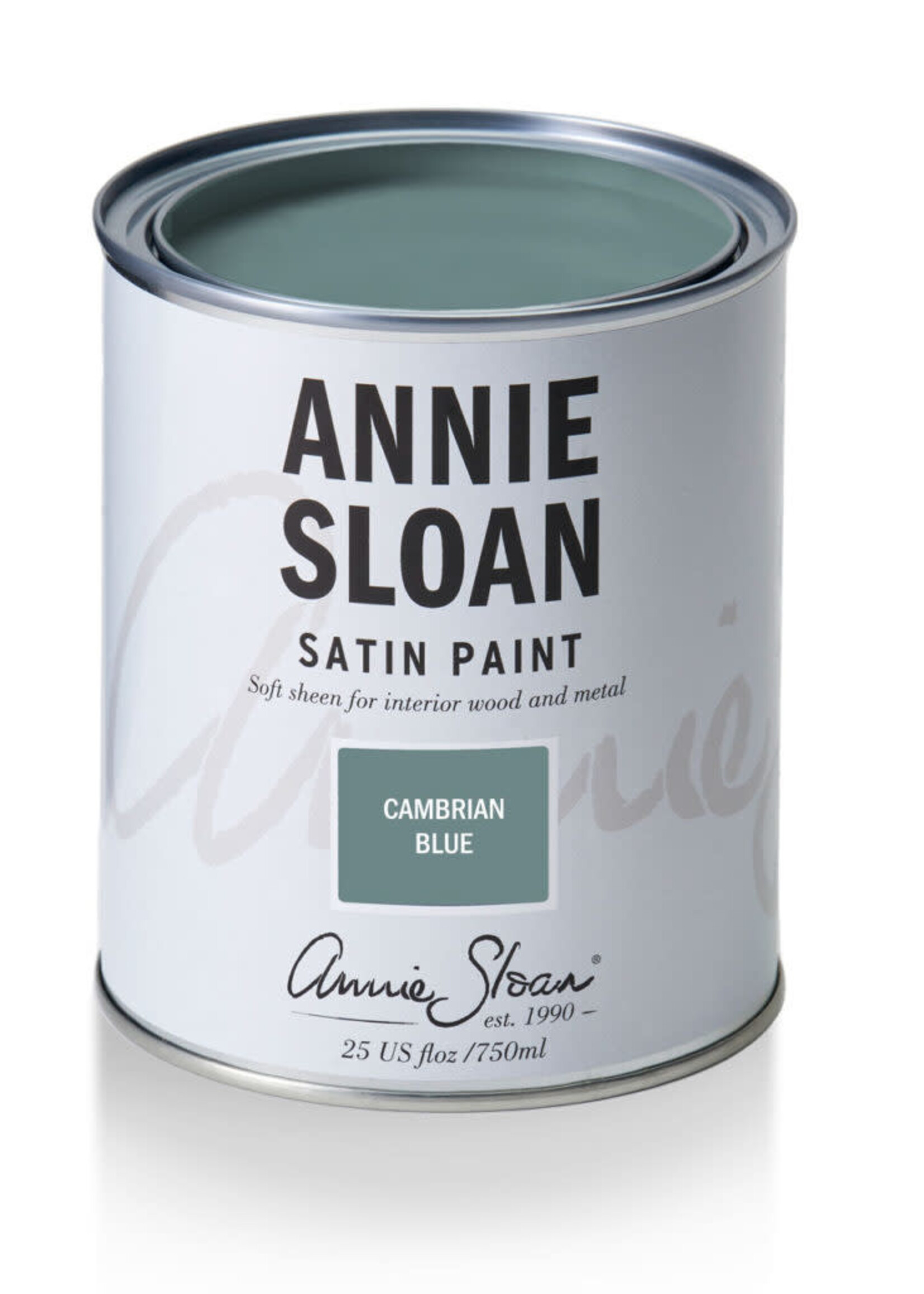Annie Sloan Cambrian Blue 750Ml Satin Paint by Annie Sloan