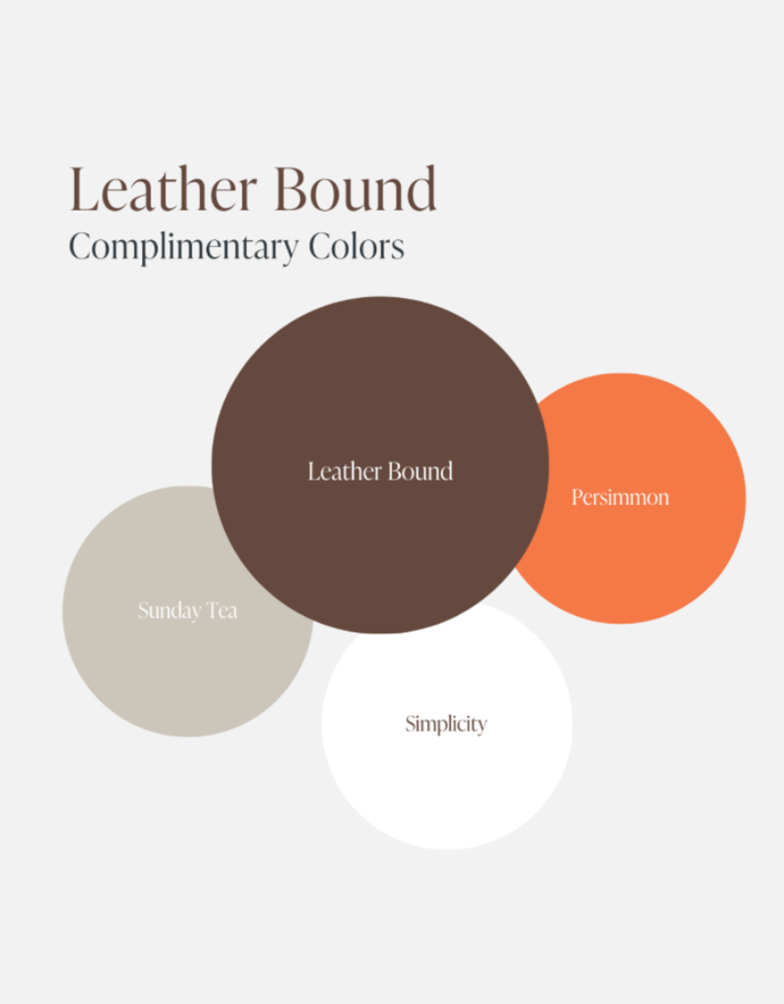 Country Chic Country Chic Paint Sample - 4oz Leather Bound