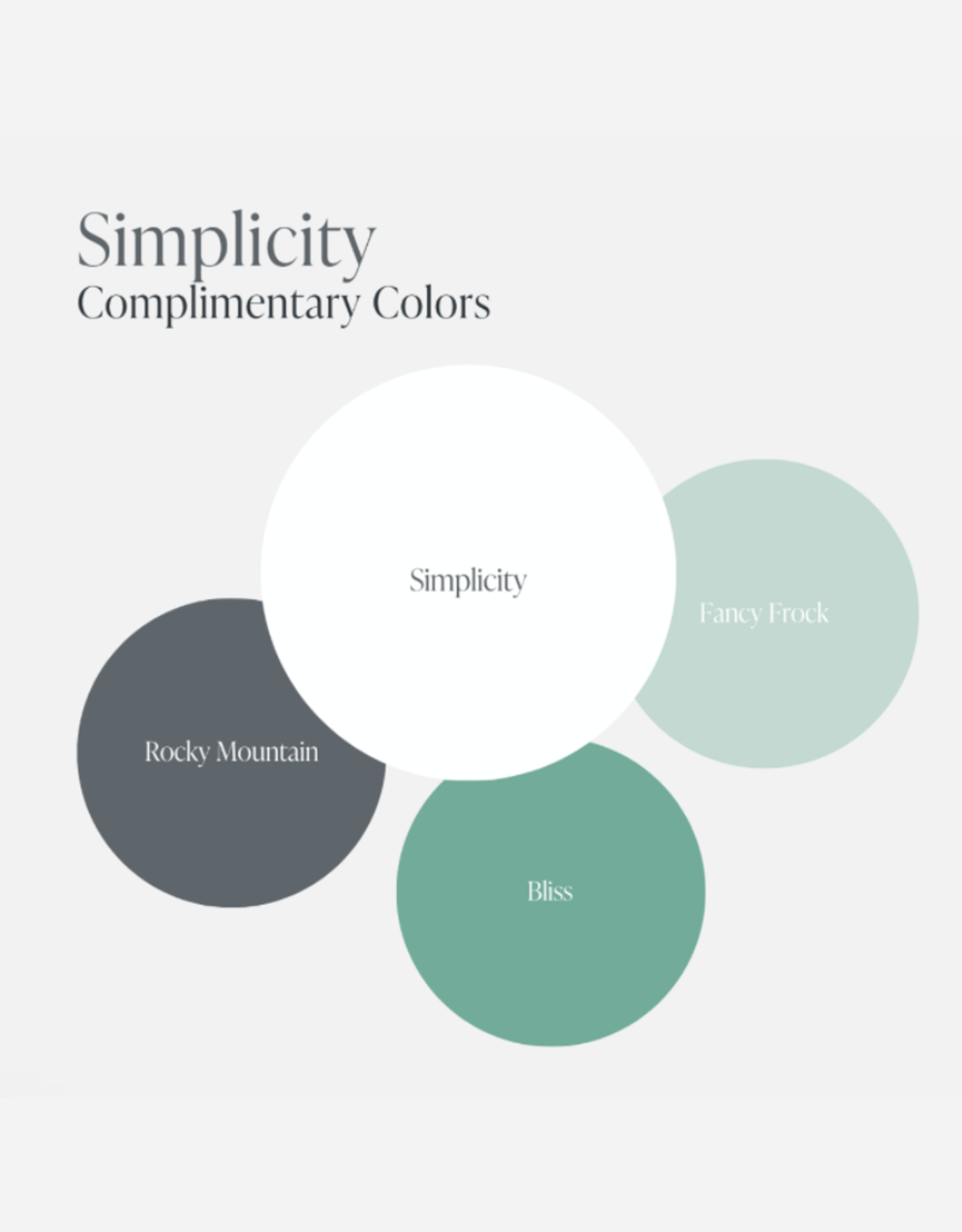 Country Chic Country Chic Paint Pint - 16oz Simplicity