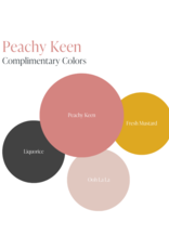 Country Chic Country Chic Paint Sample - 4oz Peachy Keen