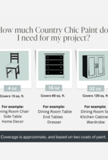 Country Chic Country Chic Paint Sample - 4oz Dune Grass