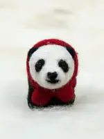 Spectacled Bear Conservation Spectacled Bear Panda Bear with Lights