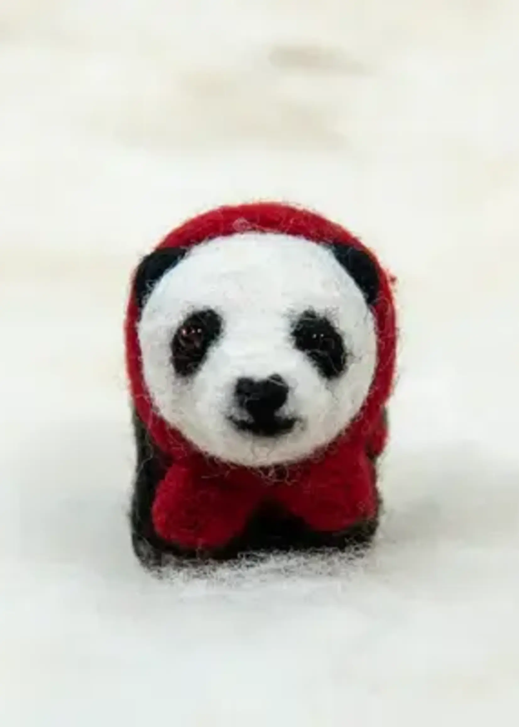 Spectacled Bear Conservation Spectacled Bear Panda Bear with Lights