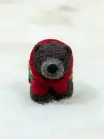 Spectacled Bear Conservation Spectacled Bear Grizzly Bear with Lights