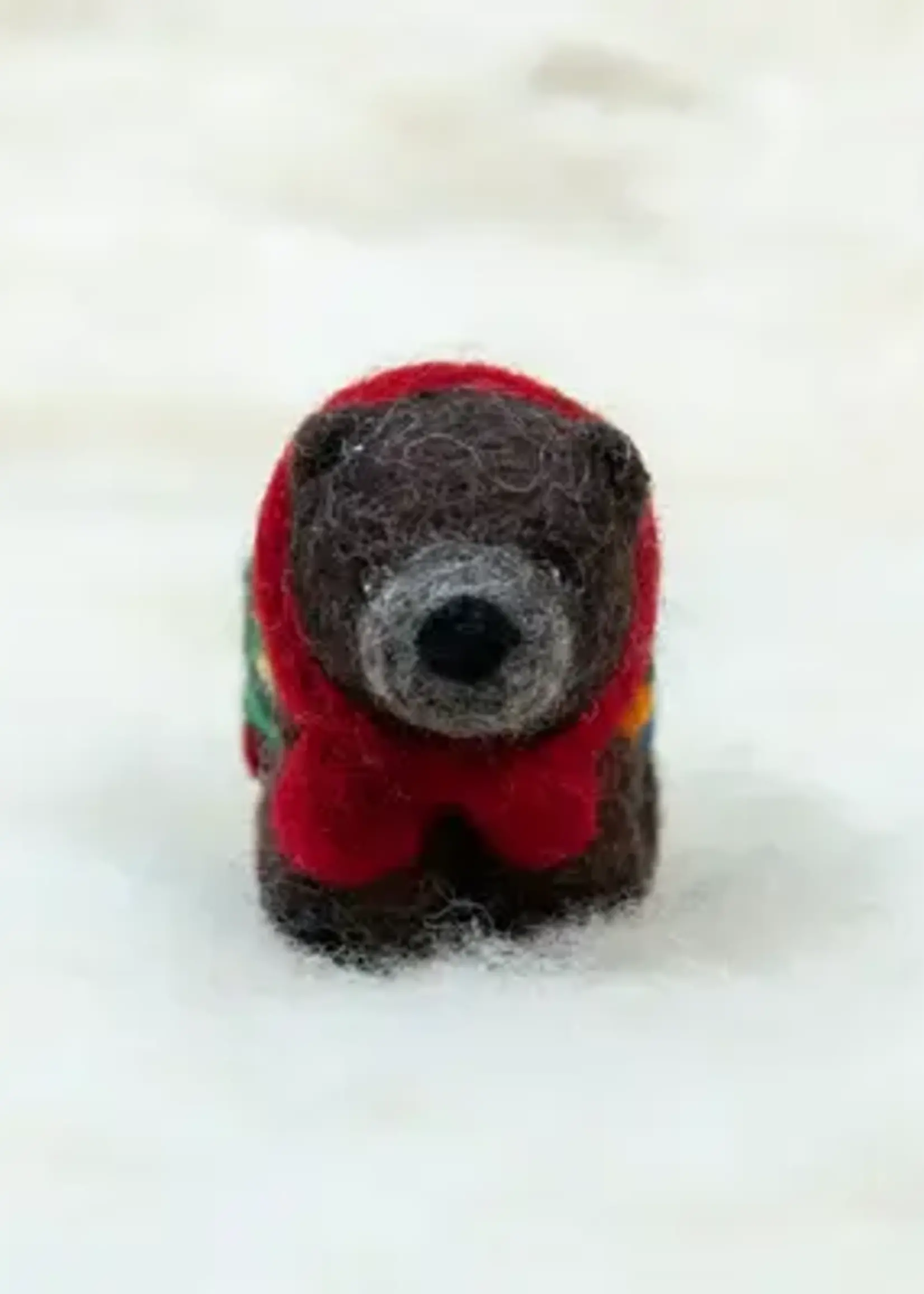 Spectacled Bear Conservation Spectacled Bear Grizzly Bear with Lights