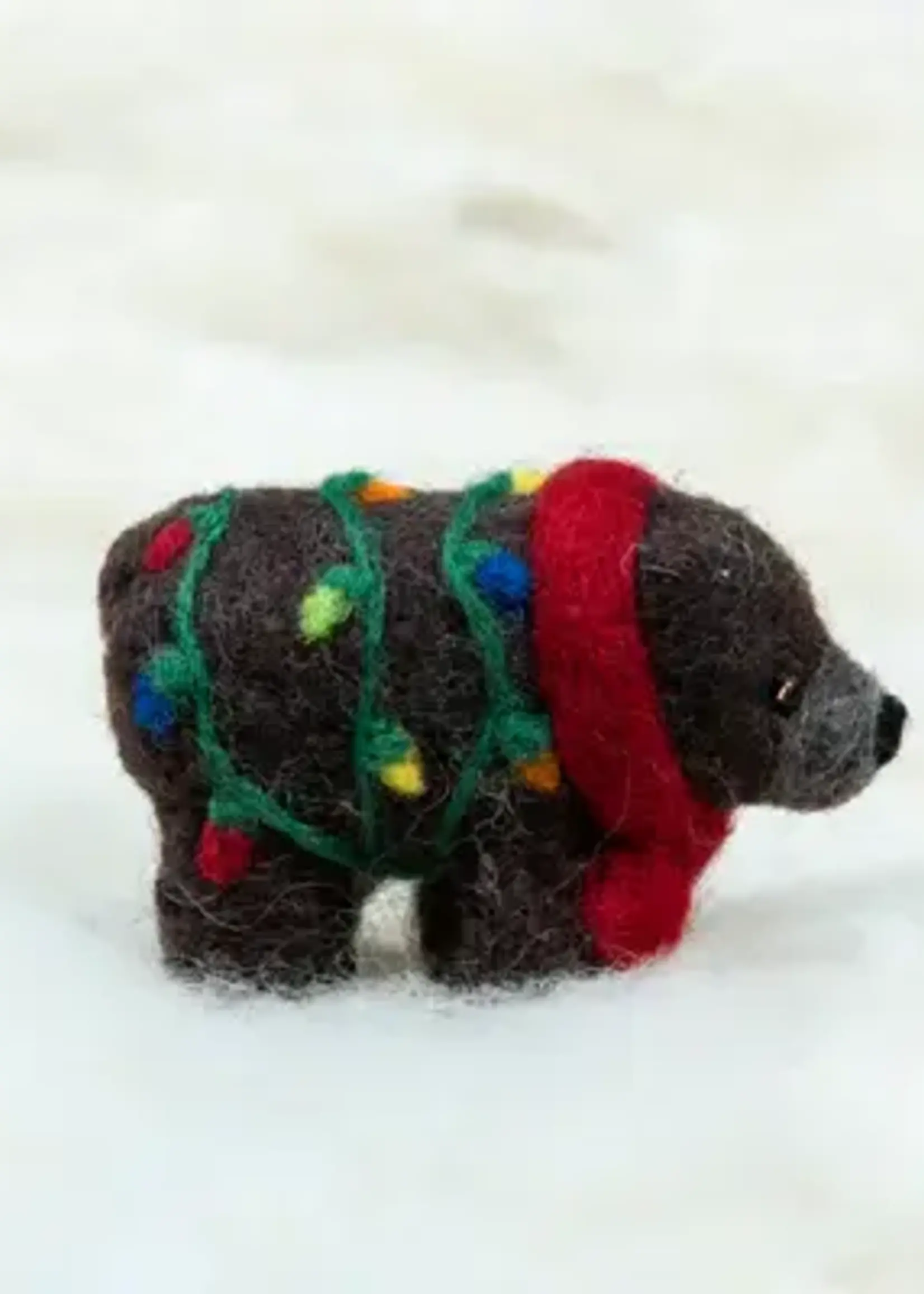 Spectacled Bear Conservation Spectacled Bear Grizzly Bear with Lights