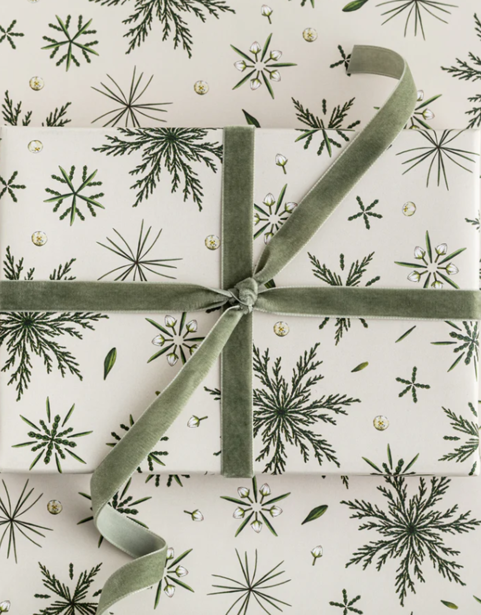Catherine Lewis Design Festive foliage-ivory- Christmas Gift Wrap