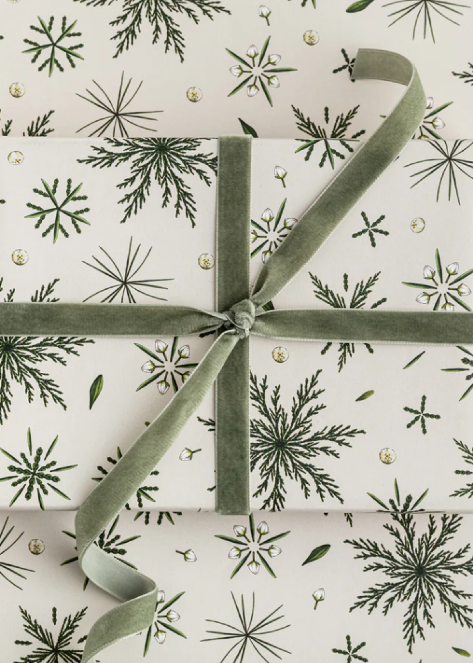 Catherine Lewis Design Catherine Lewis Festive Foliage-Ivory- Christmas Gift Wrap