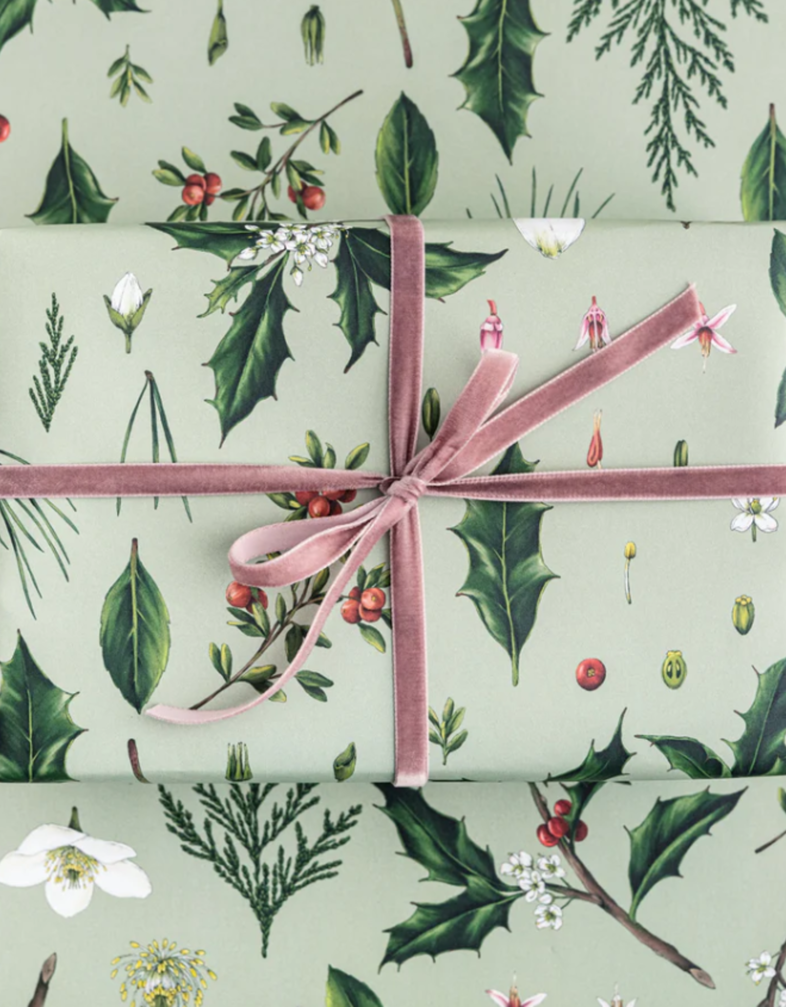 Catherine Lewis Design Berry Mix-Green-Christmas Gift Wrap