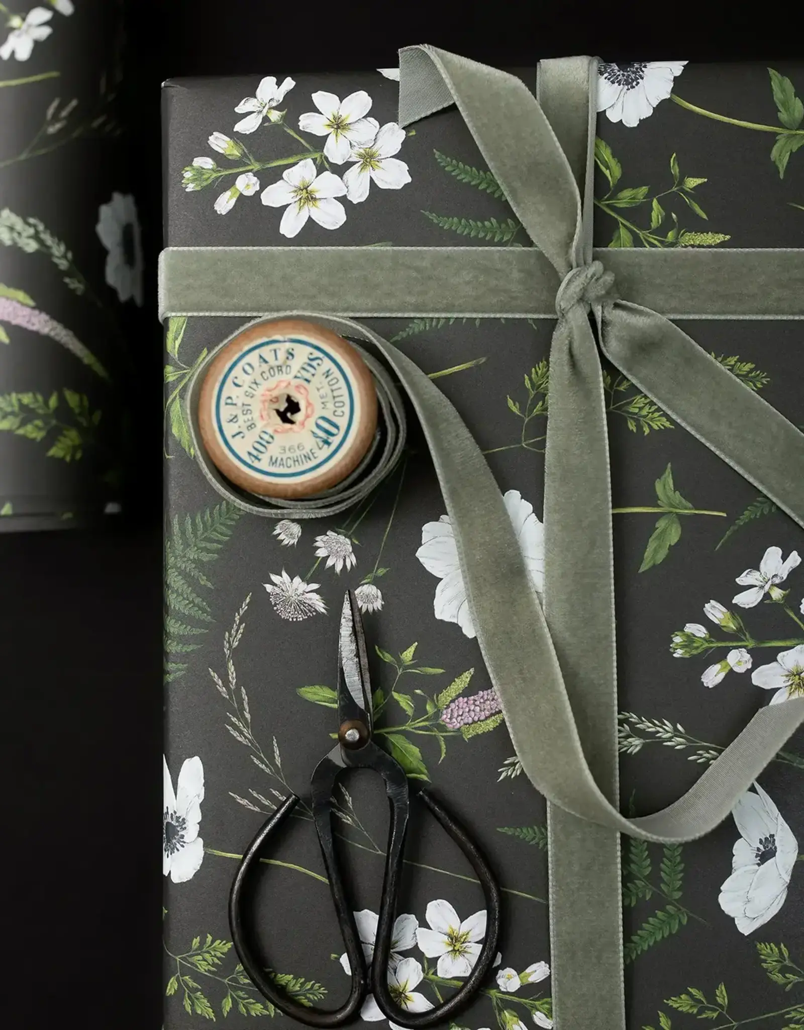 Catherine Lewis Design Wild Meadow Gift Wrap