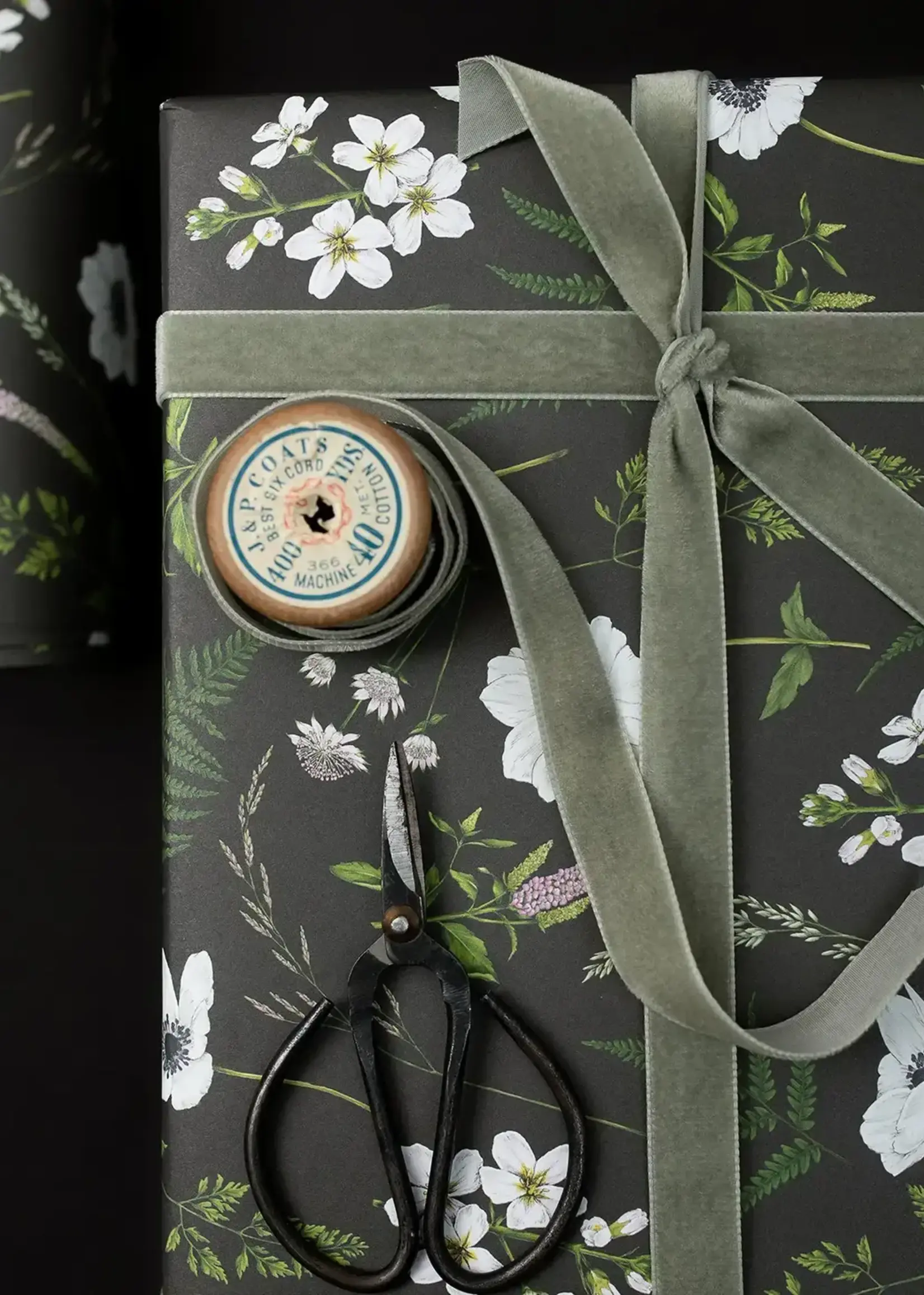 Catherine Lewis Design Wild Meadow Gift Wrap