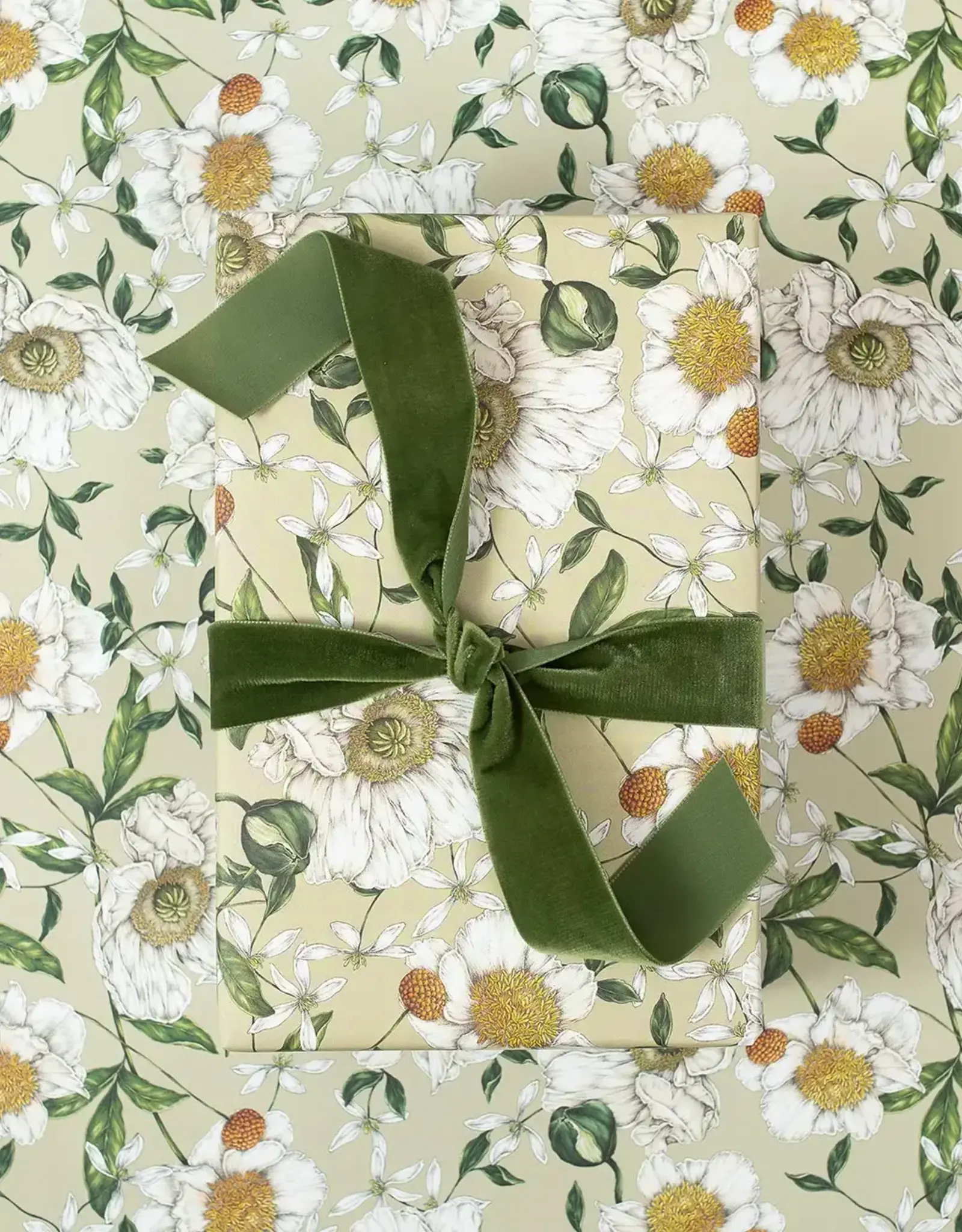 Catherine Lewis Design Spring Blossom Gift Wrap