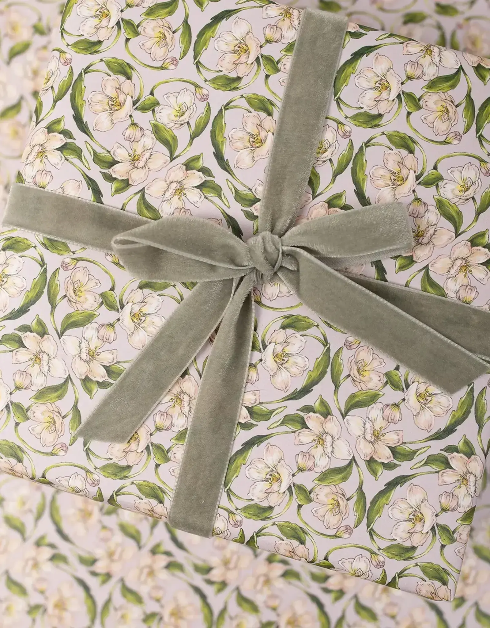 Catherine Lewis Design Flora Nouveau Gift Wrap