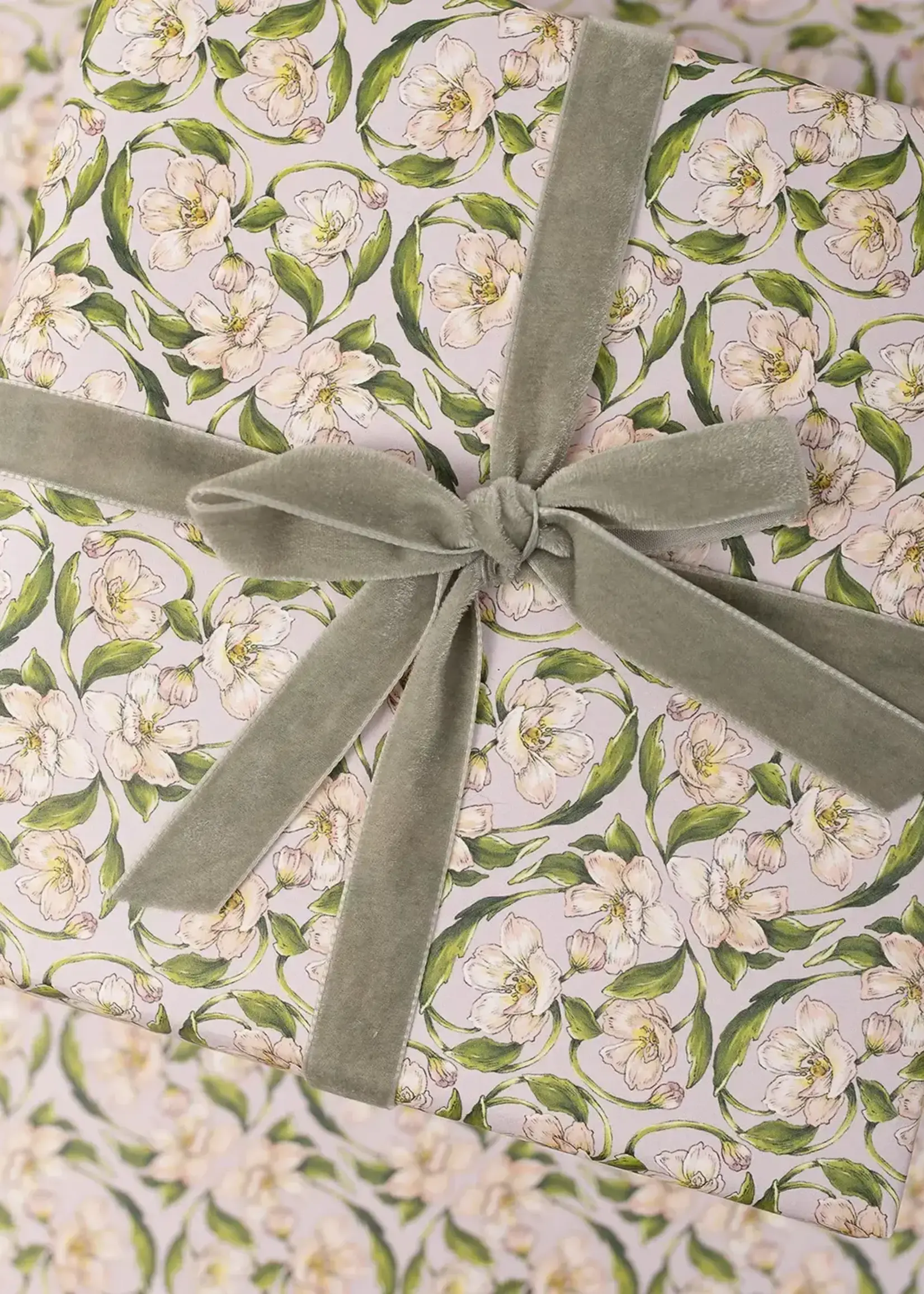 Catherine Lewis Design Flora Nouveau Gift Wrap