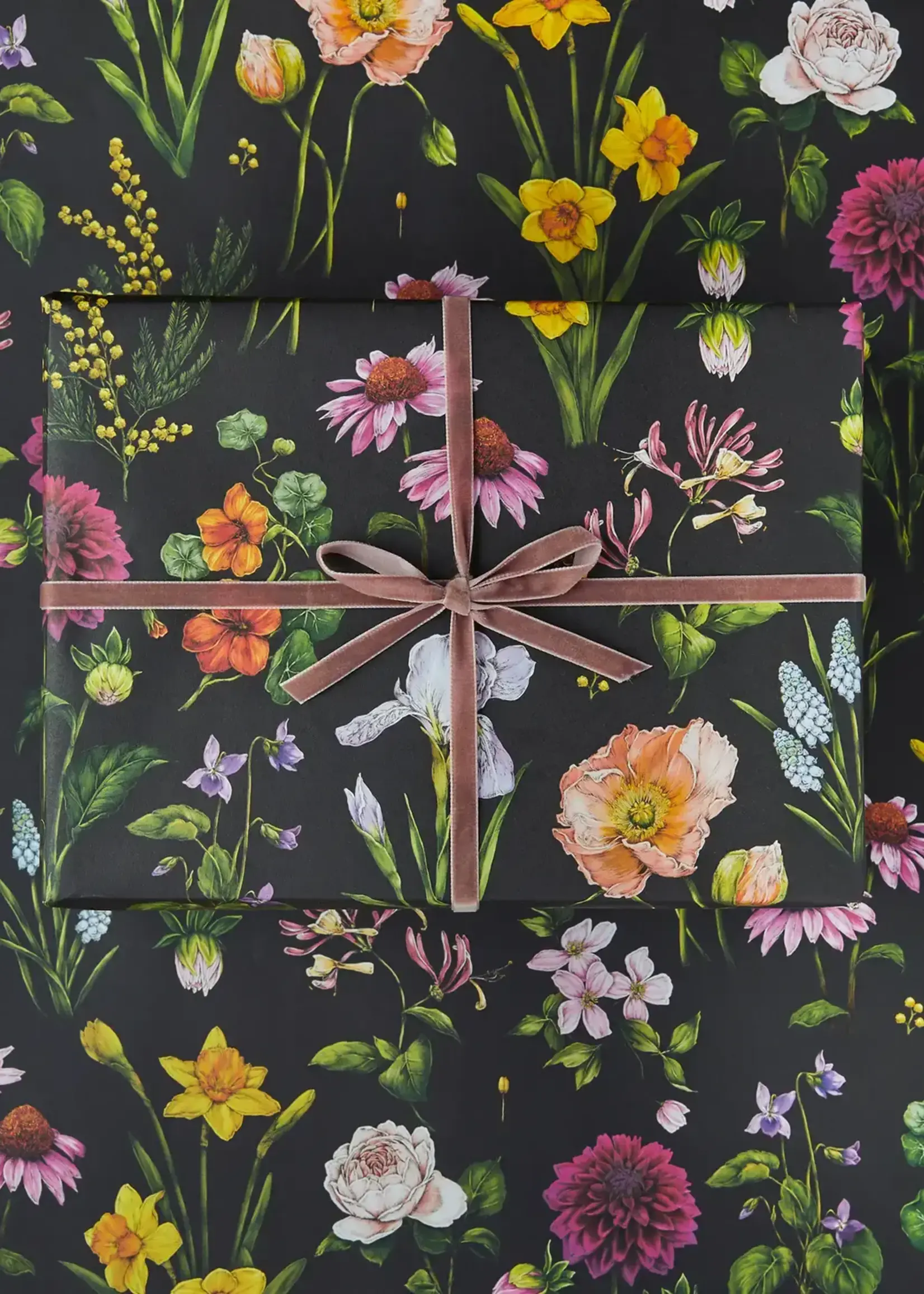 Catherine Lewis Design Bountiful Blooms Gift Wrap