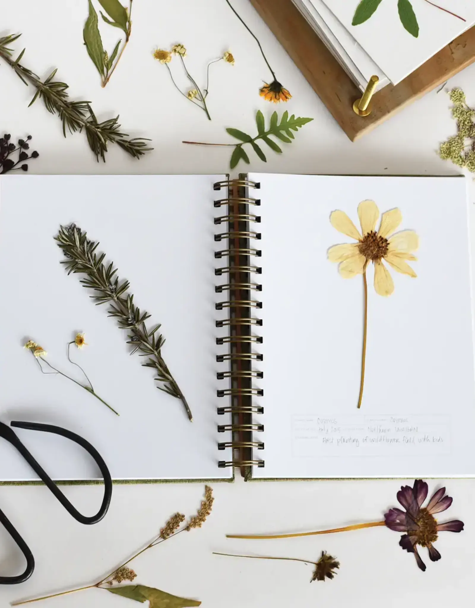 June and  December Herbarium Journal