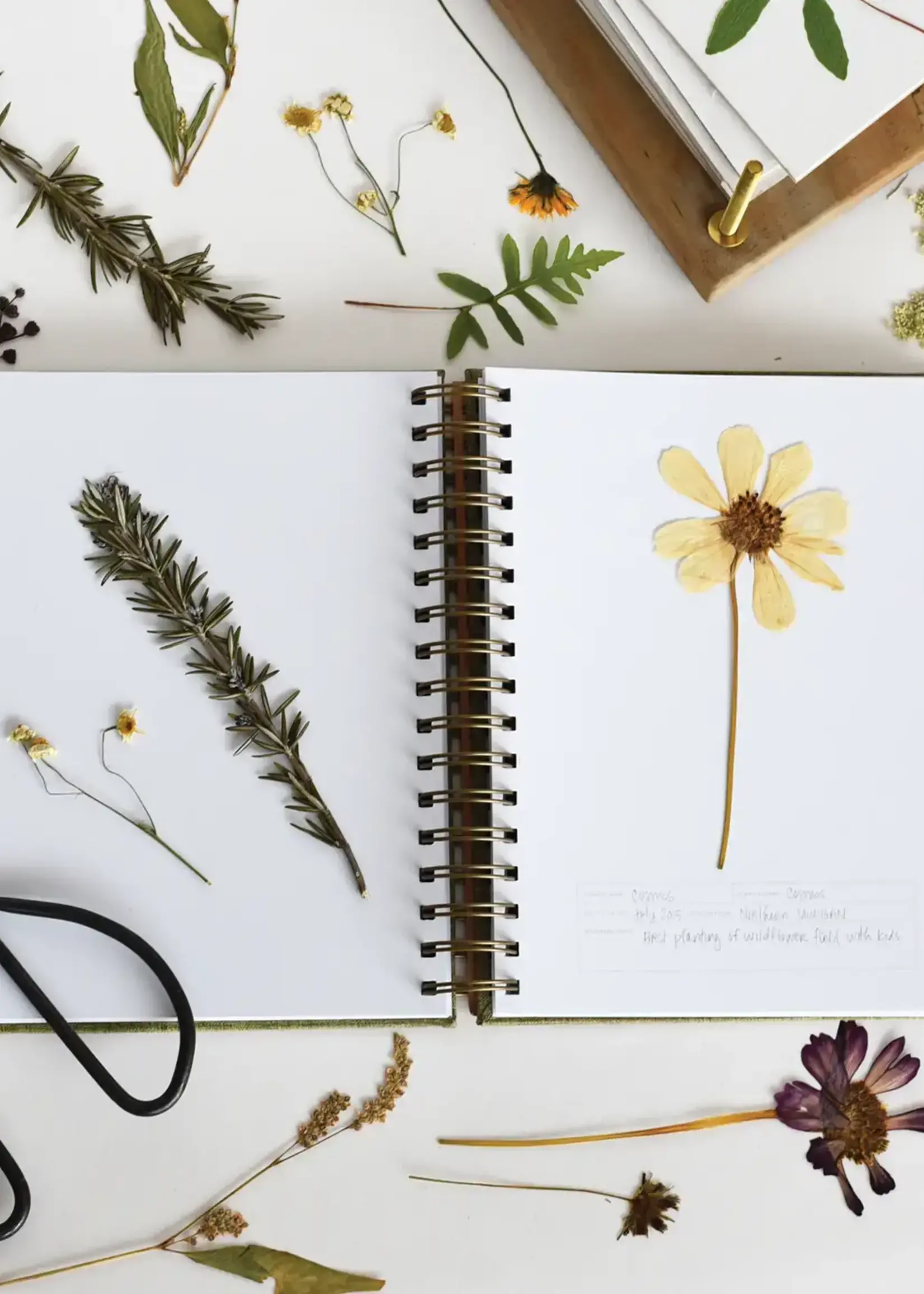 Herbarium Journal