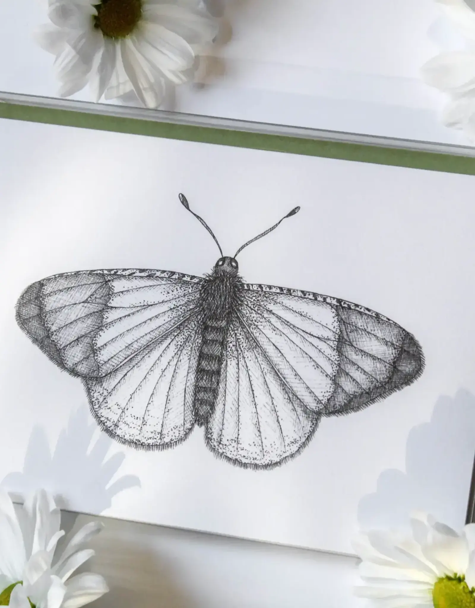 Mackenzie Myrick Studio Butterflies, Assorted Card boxed set of 4