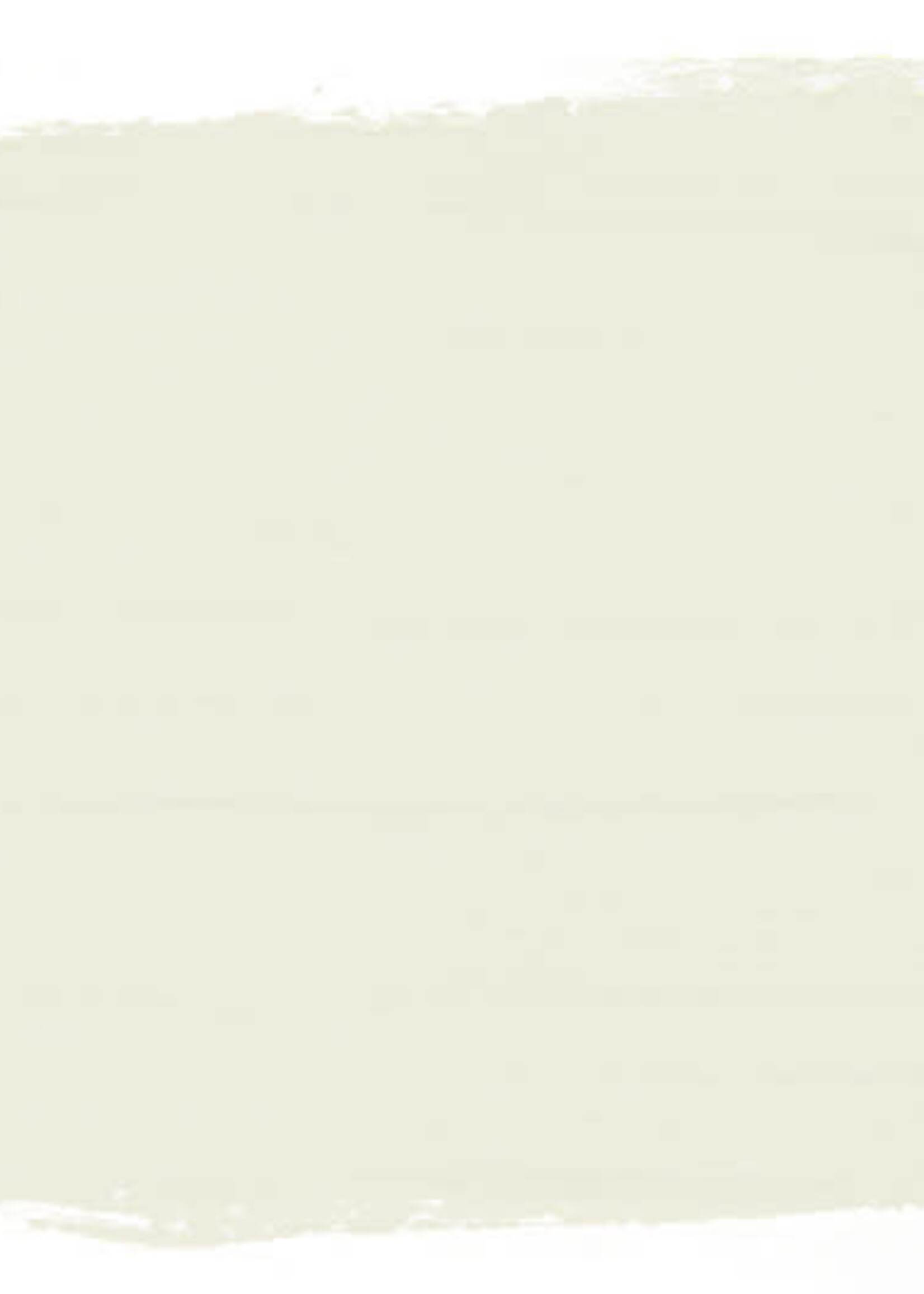 Annie Sloan Old White 500ml Chalk Paint® by Annie Sloan