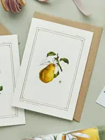 Catherine Lewis Design Catherine Lewis Designs, Pear Card (White)
