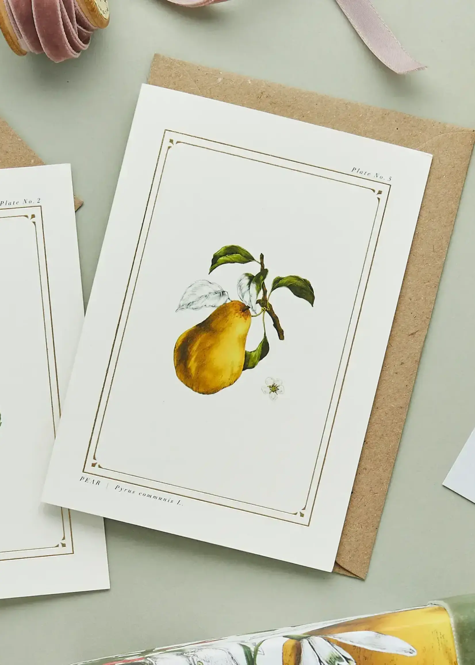 Catherine Lewis Design Catherine Lewis Designs, Pear Card (White)