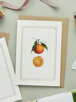 Catherine Lewis Design Catherine Lewis Designs, Clementine Card (White)