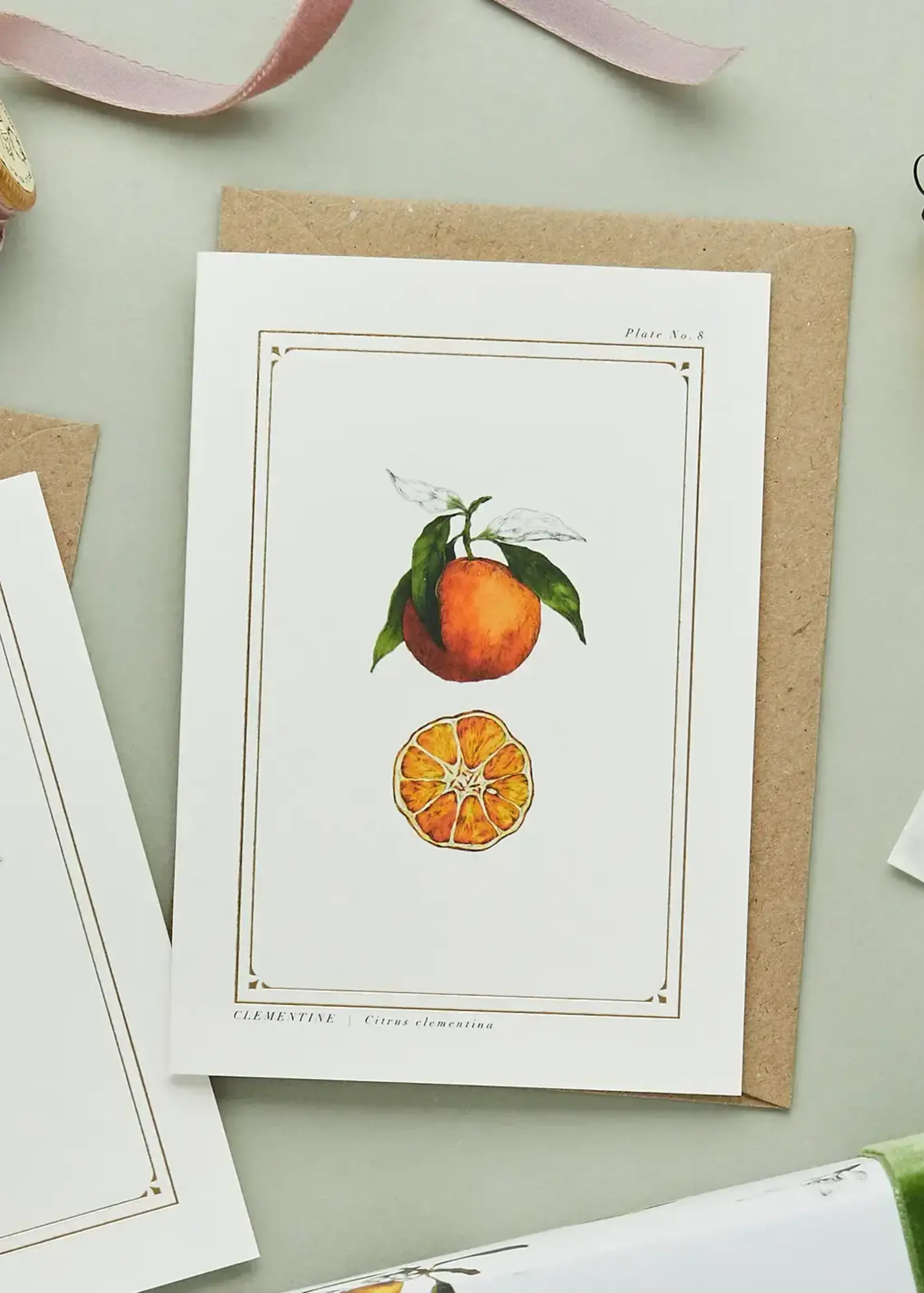 Catherine Lewis Design Catherine Lewis Designs, Clementine Card (White)