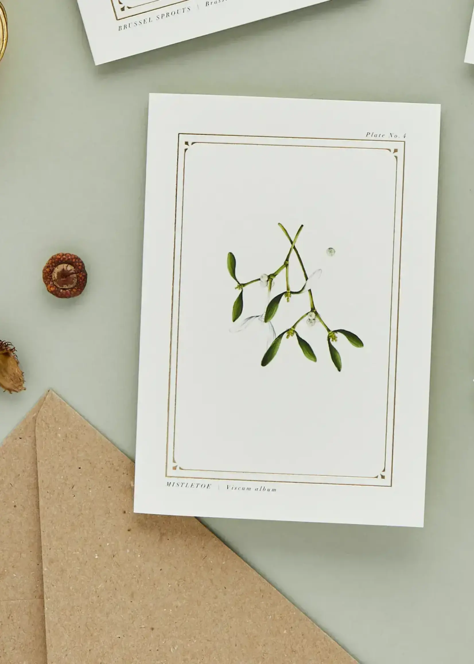Catherine Lewis Design Catherine Lewis Designs, Mistletoe Card (White)