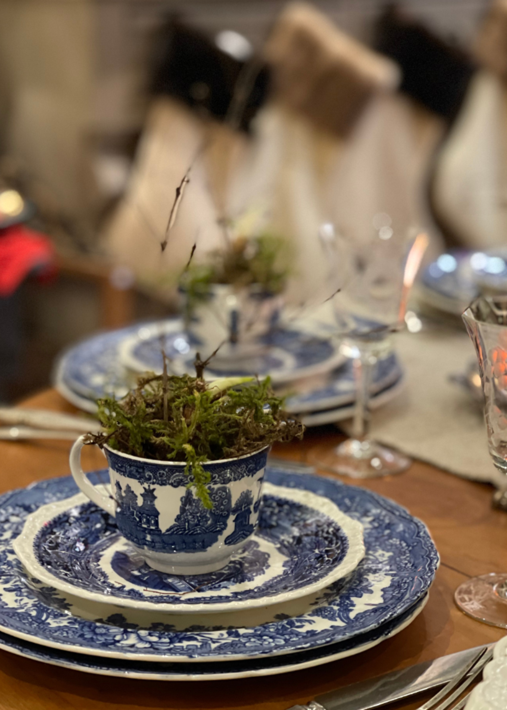 Vintage Bulb Planted Cup