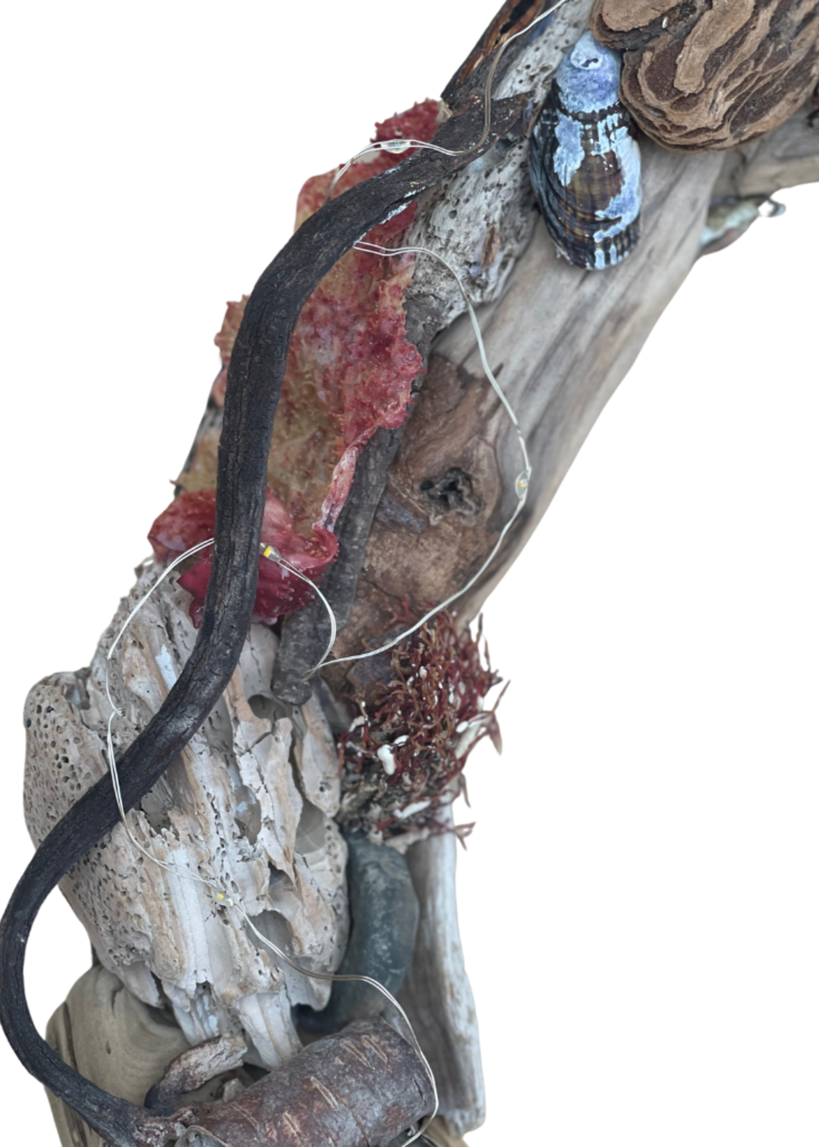 Petit driftwood wreath