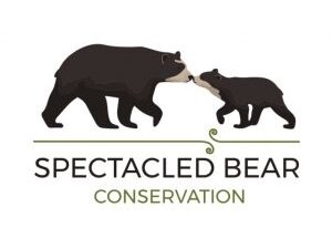 Spectacled Bear Conservation
