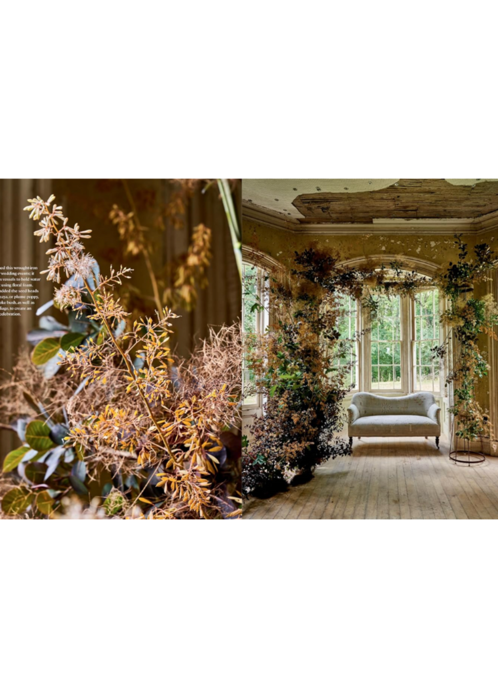 Home in Bloom, Ariella Chezar