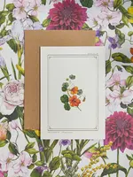Catherine Lewis Design Catherine Lewis Design Nasturtium Card