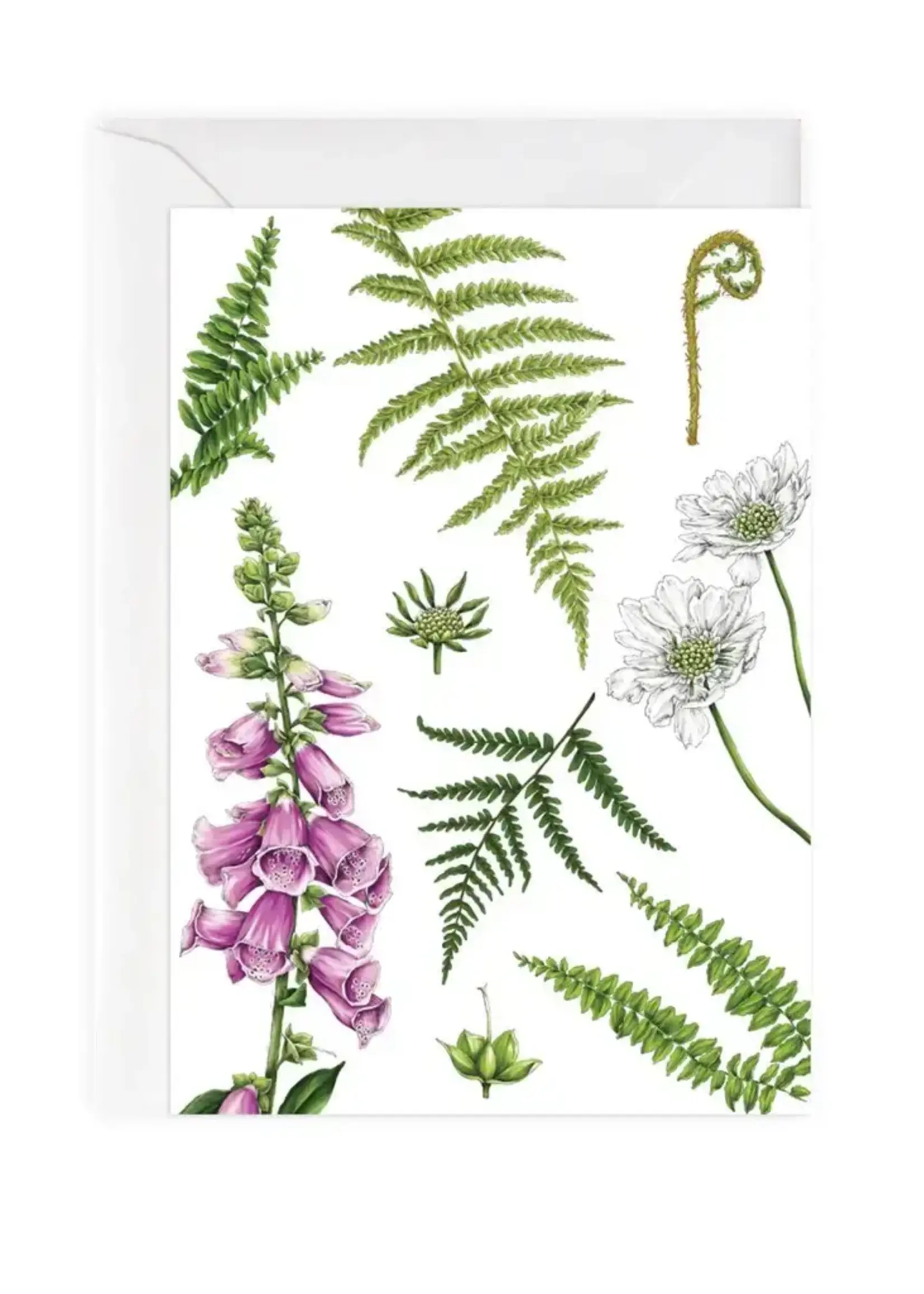Catherine Lewis Design Catherine Lewis Design Foxglove and Ferns Card