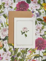 Catherine Lewis Design Catherine Lewis Design Climbing Rose Card