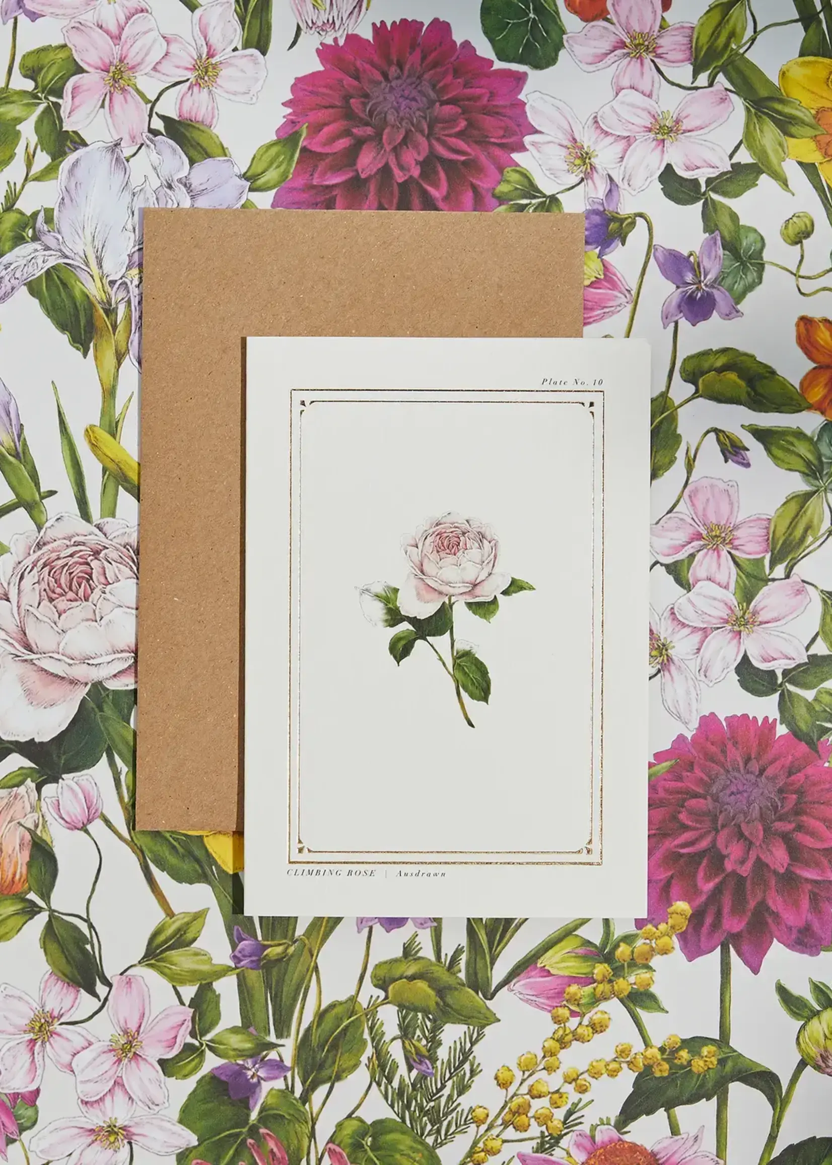 Catherine Lewis Design Catherine Lewis Design Climbing Rose Card