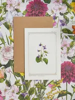 Catherine Lewis Design Catherine Lewis Design Sweet Violet Card