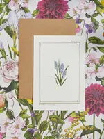 Catherine Lewis Design Catherine Lewis Design Muscari Card