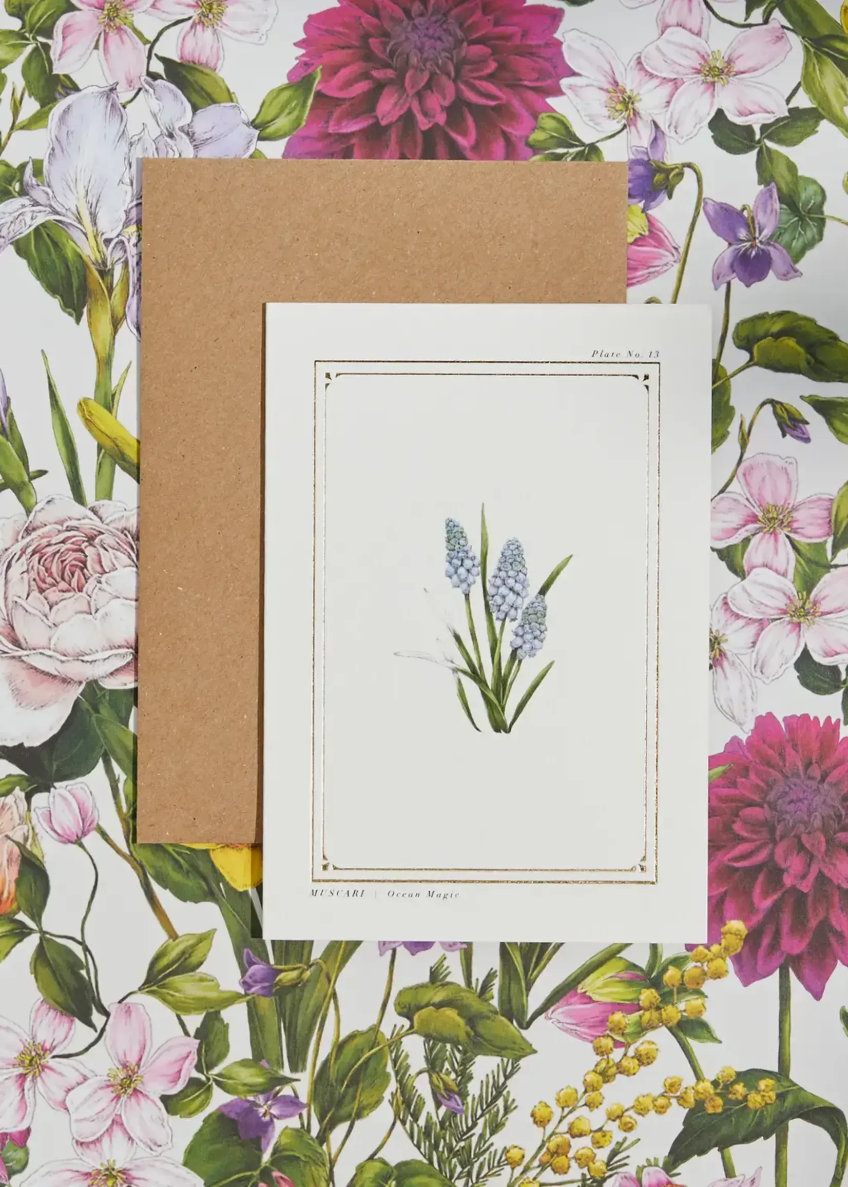 Catherine Lewis Design Catherine Lewis Design Muscari Card