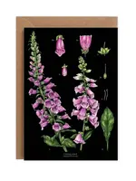 Catherine Lewis Design Catherine Lewis Design Black Foxglove Card